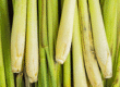Lemongrass Essential Oil