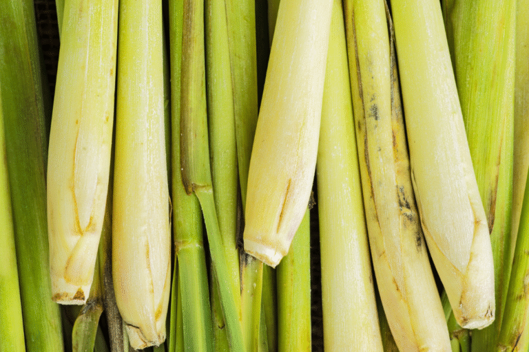 Lemongrass Essential Oil