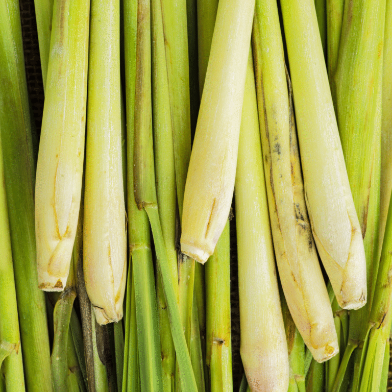 Lemongrass Essential Oil